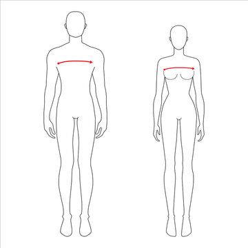 Women and men to do x-front and x-back measurement fashion Illustration for size chart. 7.5 head size girl and boy for site or online shop. Human body infographic template for clothes. 