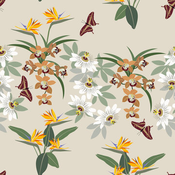Seamless vector illustration with flowers of orchids, strelitzia and butterfly on a light background.
