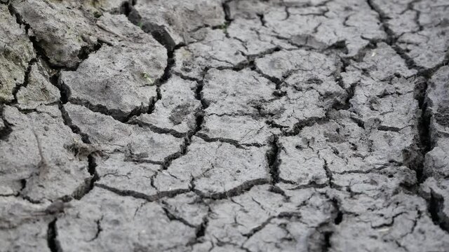 Dry, cracked earth at the bottom of a dry river.  Close-up