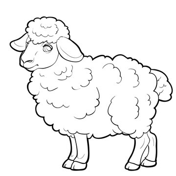 sheep sketch, farm, coloring, isolated object on a white background, vector illustration,