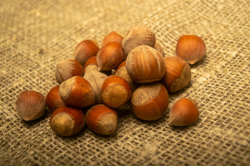 Hazelnut scattered on the background of burlap with a rough texture. Close up.