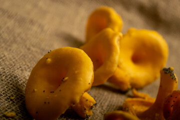 A pile of curly cookies in the form of chanterelle mushrooms on a homespun fabric with a rough texture. Close up.