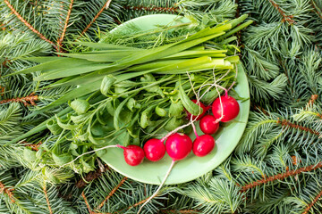 Fresh green onion parsley radish on a plate on the table. Vegetarian healthy food