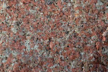 A large piece of sea-washed granite on red sea coast