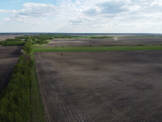 Two fields separated by a forest belt, aerial view. Agricultural landscape.