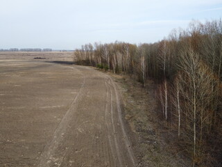 Agricultural field near the forest, aerial view. Landscape.