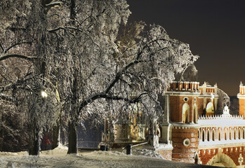 Figured bridge in Tsaritsyno. Moscow. Russia