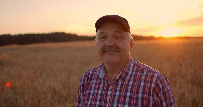 Portrait of a smiling Senior adult farmer in a cap in a field of cereals. In the sunset light, an elderly man in a tractor driver after a working day smiles and looks at the camera.