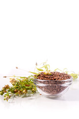 Composition with , flax seeds, and plants on white background. Organic Healthy food background.