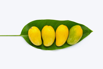 Tropical fruit, Mango on green leaf on white background.