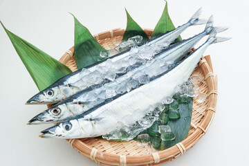 笊の上の生サンマ