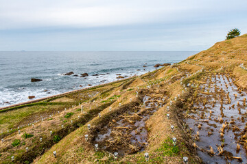 Green Shiroyone Senmaida Rice Terraces on the cliff with sea view and solar lights illuminations on Noto Peninsula, Japan