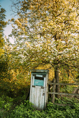 Cabin Of Old Wooden Country Toilet In Spring Day