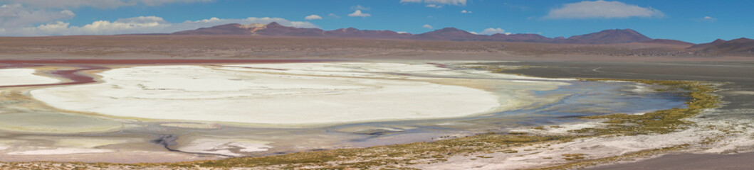 Fototapeta na wymiar Red waters and flamingos at Colorada Lagoon - South of Bolivia.