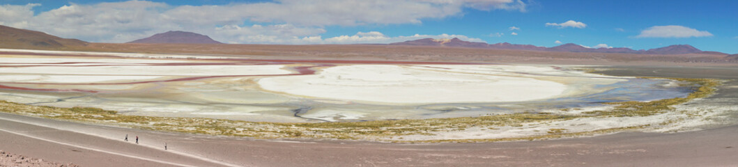 Red waters and flamingos at Colorada Lagoon - South of Bolivia.