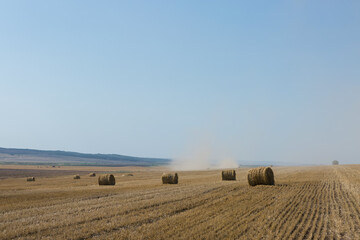 Obraz premium Field after harvest in the morning. Large bales of hay in a wheat field.