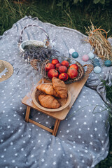 Picnic in the summer field with vegetables, fruits, croissants