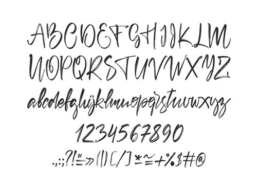 Handwritten calligraphic brush Font. English Alphabet letters on white background. Numbers and punctuation.