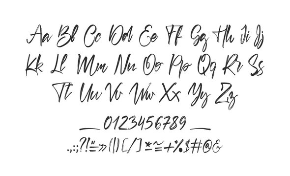 Handwritten calligraphic brush full Font. English Alphabet letters on white background. Numbers and punctuation.