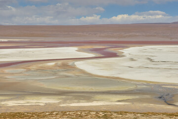 Red waters and flamingos at Colorada Lagoon - South of Bolivia.