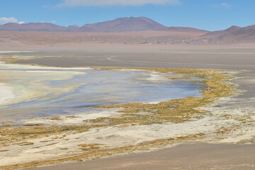 Red waters and flamingos at Colorada Lagoon - South of Bolivia.