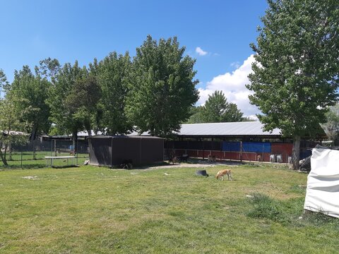 Tierheim in S&uuml;ditalien