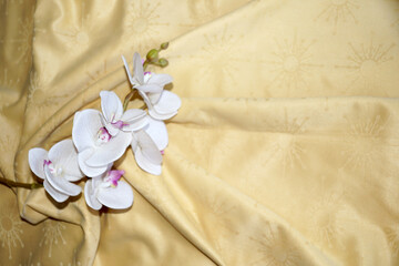 white orchid flower on gold textile drapery