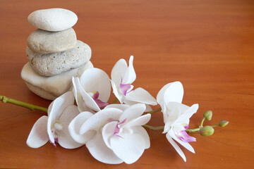 white orchid and natural stones pyramid on wooden background