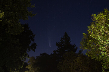 Fototapeta premium shots in the night sky of the comet neowise with many other stars in the sky and trees can be seen in the background
