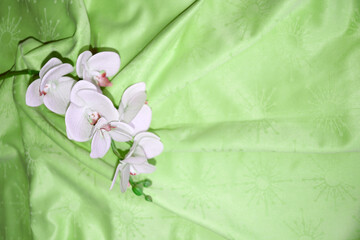white orchid flower on green textile drapery