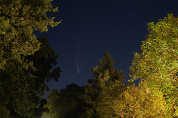 shots in the night sky of the comet neowise with many  other stars in the sky and trees can be seen...