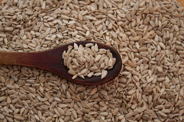 Old wooden spoon with sunflower seeds on a texture of sunflower seeds
