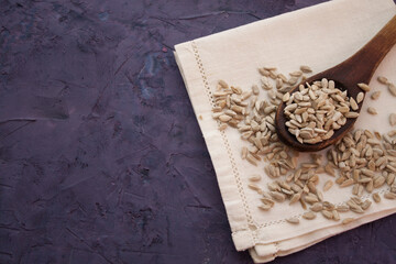 Sunflower seeds in an old wooden spoon on white serviette in the right side of the violet grunge background
