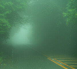 霧に覆われた道