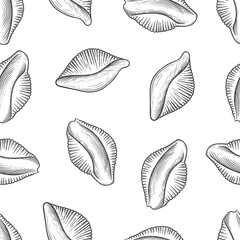 Italian conchiglie pasta. Seamless background. Retro style, engraving style. Hand drawing, ink, line art. Isolated on white background. Traditional Italian cuisine. Vector illustration. 