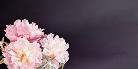 Naklejka na ściany i meble Aesthetic floral composition with soft pink peonies, large blooms on dark, moody background, horizontal layout, copy space