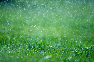 water drops on green grass, blurred natural background with summer rain