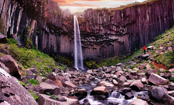 Scenic image of Iceland nature. Amazing Natural scenery. Colorful summer sunrise, Svartifoss Waterfall with dramatic sky. Picture of wild area. Iceland the most beautiful and best travel place