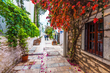 A narrow street view in Bodrum. Bodrum is populer tourist destination in Turkey.