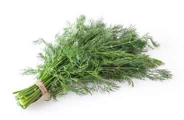 Bunch of fresh dill isolated on white background