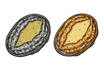 Two abalones. Colored vector illustrations set.