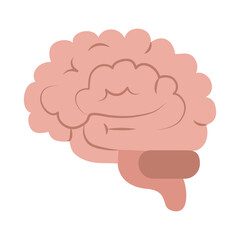 human brain organ think idea isolated flat style icon