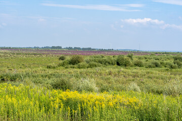 Tiengemeten, The Netherlands
