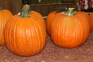 pumpkins sitting on a Board that's ready to eat in Kansas.