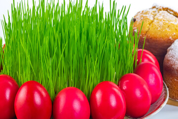 Red Easter eggs around wheat grass on the plate isolated on white, Ester cake