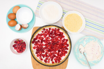 step by step cooking process and ingredients for homemade raspberry pie - egg, cottage cheese, flour, raspberries, sugar, dough, baking dish, butter. top view on a light background