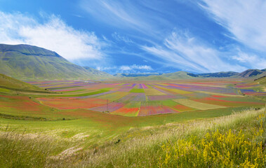 Castelluccio di Norcia, 2020 (Umbria, Italy) - The famous landscape flowering with many colors, in the highland of Sibillini Mountains, central Italy.