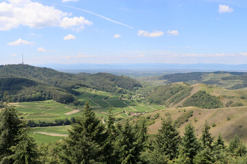 Kaiserstuhl im Breisgau im Rheingraben