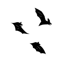 Obraz premium vector illustration of bat in flight. Black flittermouse silhouette. Set of different shapes