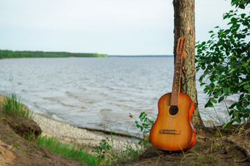 The guitar is leaning against a tree, against the background of the lake.